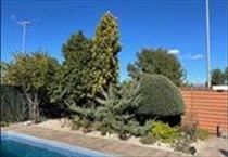 hirdetés 7. fotó