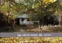 hirdetés 2. fotó