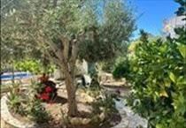 hirdetés 7. fotó