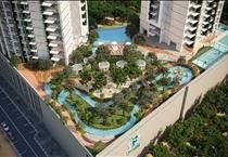 hirdetés 2. fotó