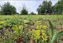 hirdetés 7. fotó