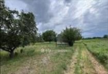 hirdetés 3. fotó