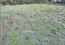 hirdetés 3. fotó