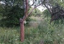 hirdetés 4. fotó