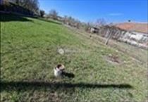 hirdetés 3. fotó