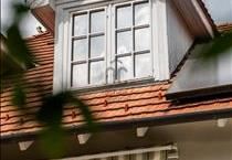 hirdetés 6. fotó
