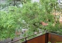 hirdetés 3. fotó