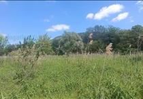 hirdetés 2. fotó