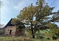 hirdetés 4. fotó