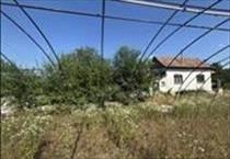 hirdetés 2. fotó
