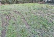 hirdetés 3. fotó