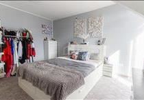 hirdetés 7. fotó