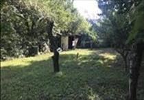 hirdetés 6. fotó