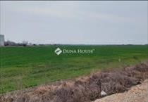 hirdetés 4. fotó