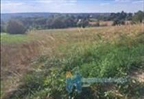 hirdetés 4. fotó