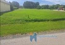 hirdetés 2. fotó
