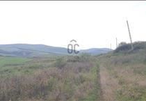 hirdetés 6. fotó