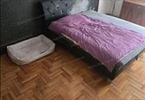 hirdetés 3. fotó