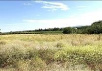 hirdetés 7. fotó