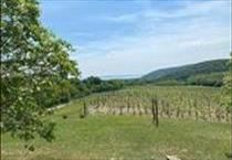 hirdetés 5. fotó