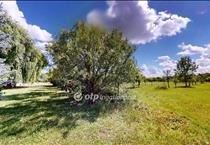 hirdetés 7. fotó