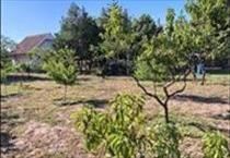 hirdetés 5. fotó