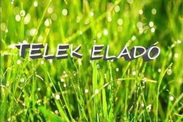 hirdetés 1. fotó