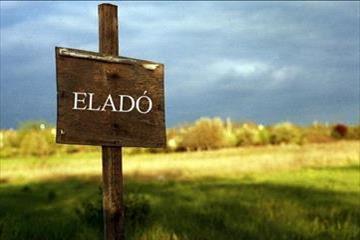 hirdetés 1. fotó