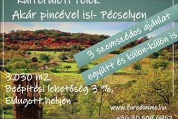 hirdetés 1. fotó