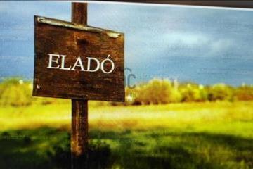 hirdetés 1. fotó