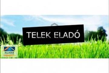hirdetés 1. fotó