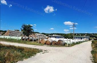 Eladó Szentjakabfai egyéb mezőgazdasági ingatlan hirdetés (54597984) Eladó Szentjakabfai egyéb mezőgazdasági ingatlan hirdetés (54597984)