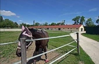 Eladó Soproni egyéb mezőgazdasági ingatlan hirdetés (42947446) Eladó Soproni egyéb mezőgazdasági ingatlan hirdetés (42947446)