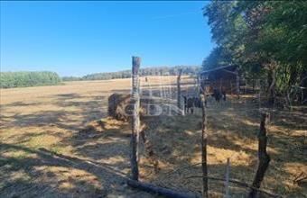 Eladó Németbányai családi ház hirdetés (61258759) Eladó Németbányai családi ház hirdetés (61258759)