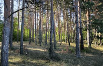 Eladó Györkönyi termőföld, szántó hirdetés (84443937) Eladó Györkönyi termőföld, szántó hirdetés (84443937)