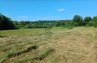 Eladó Veresegyházi termőföld, szántó hirdetés (23734398) Eladó Veresegyházi termőföld, szántó hirdetés (23734398)