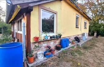 Eladó Szentmártonkátai családi ház hirdetés (57764245) Eladó Szentmártonkátai családi ház hirdetés (57764245)