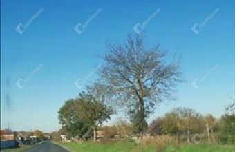 Eladó Sármelléki termőföld, szántó hirdetés (82973174) Eladó Sármelléki termőföld, szántó hirdetés (82973174)