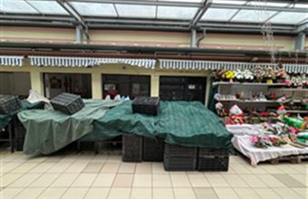 Kiadó Miskolci üzlethelyiség utcafronton hirdetés (55354946) Kiadó Miskolci üzlethelyiség utcafronton hirdetés (55354946)