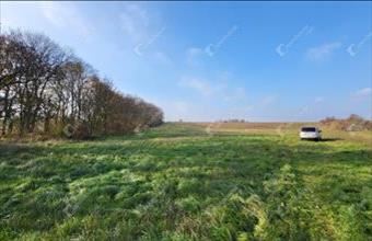 Eladó Mezőkövesdi egyéb ipari ingatlan hirdetés (99758934) Eladó Mezőkövesdi egyéb ipari ingatlan hirdetés (99758934)