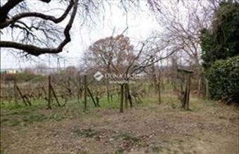 Eladó Velencei üdülőövezeti telek hirdetés (44227144) Eladó Velencei üdülőövezeti telek hirdetés (44227144)