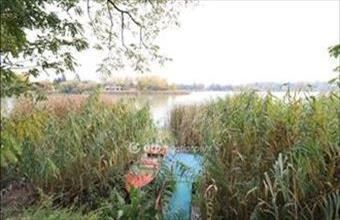 Eladó Szigetszentmártoni hétvégi ház hirdetés (77544554) Eladó Szigetszentmártoni hétvégi ház hirdetés (77544554)