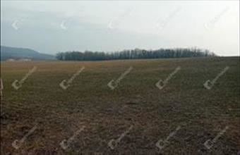 Eladó Vértessomlói termőföld, szántó hirdetés (87494246) Eladó Vértessomlói termőföld, szántó hirdetés (87494246)