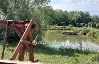 Eladó Garéi egyéb mezőgazdasági ingatlan hirdetés (87448851) Eladó Garéi egyéb mezőgazdasági ingatlan hirdetés (87448851)