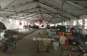 Eladó Kisharsányi egyéb mezőgazdasági ingatlan hirdetés (71828541) Eladó Kisharsányi egyéb mezőgazdasági ingatlan hirdetés (71828541)