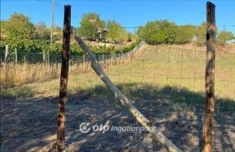 Eladó Várpalotai egyéb mezőgazdasági ingatlan hirdetés (54413349) Eladó Várpalotai egyéb mezőgazdasági ingatlan hirdetés (54413349)