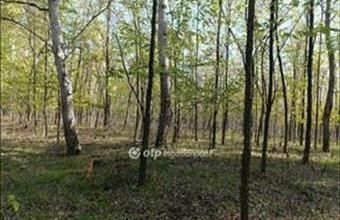 Eladó Zsanai egyéb mezőgazdasági ingatlan hirdetés (37334247) Eladó Zsanai egyéb mezőgazdasági ingatlan hirdetés (37334247)