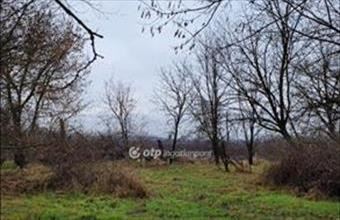 Eladó Jászberényi egyéb mezőgazdasági ingatlan hirdetés (43846923) Eladó Jászberényi egyéb mezőgazdasági ingatlan hirdetés (43846923)