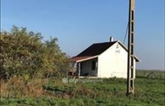 Eladó Gyomaendrődi egyéb mezőgazdasági ingatlan hirdetés (49443962) Eladó Gyomaendrődi egyéb mezőgazdasági ingatlan hirdetés (49443962)
