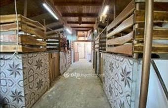 Eladó Kiskunlacházai egyéb mezőgazdasági ingatlan hirdetés (73891754) Eladó Kiskunlacházai egyéb mezőgazdasági ingatlan hirdetés (73891754)